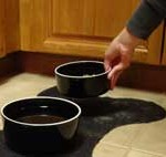 feed & water